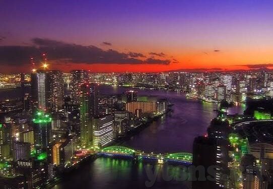 91大神麻豆-聚焦91大神与麻豆，后互联网时代的文化与现象反思