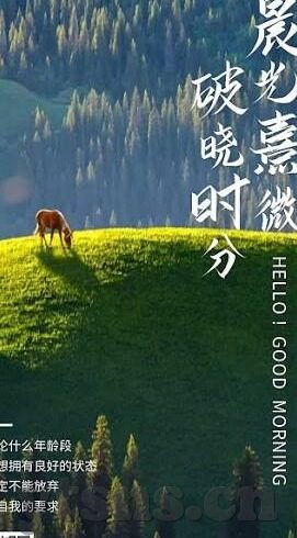 含羞草麻豆tv视频漫画-初恋般触碰，含羞草与麻豆TV视频漫画的微妙交织