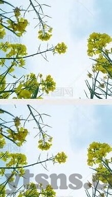 www,麻豆av-互联网时代的视听盛宴，了解www与麻豆AV为何物